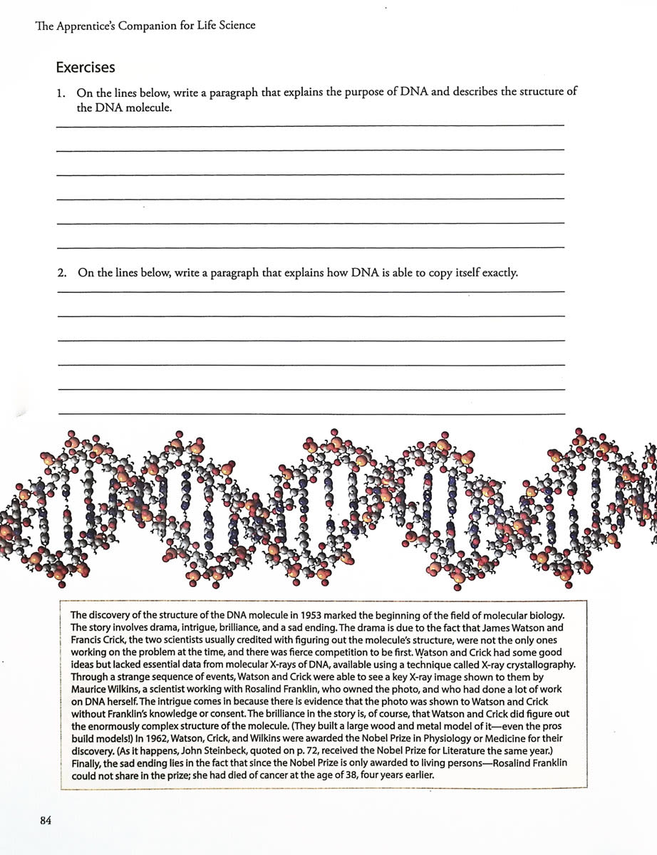 The Apprentice's Companion for Novare Life Science