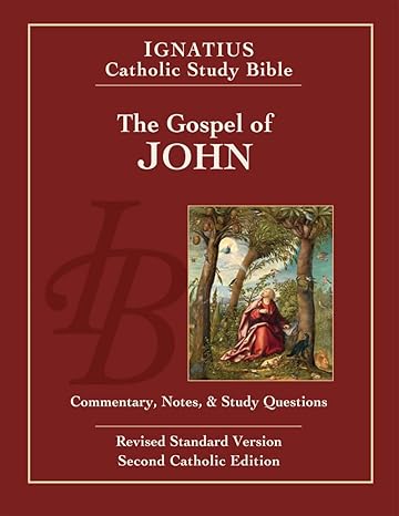 The Gospel of John — Catholic Homeschool Curriculum
