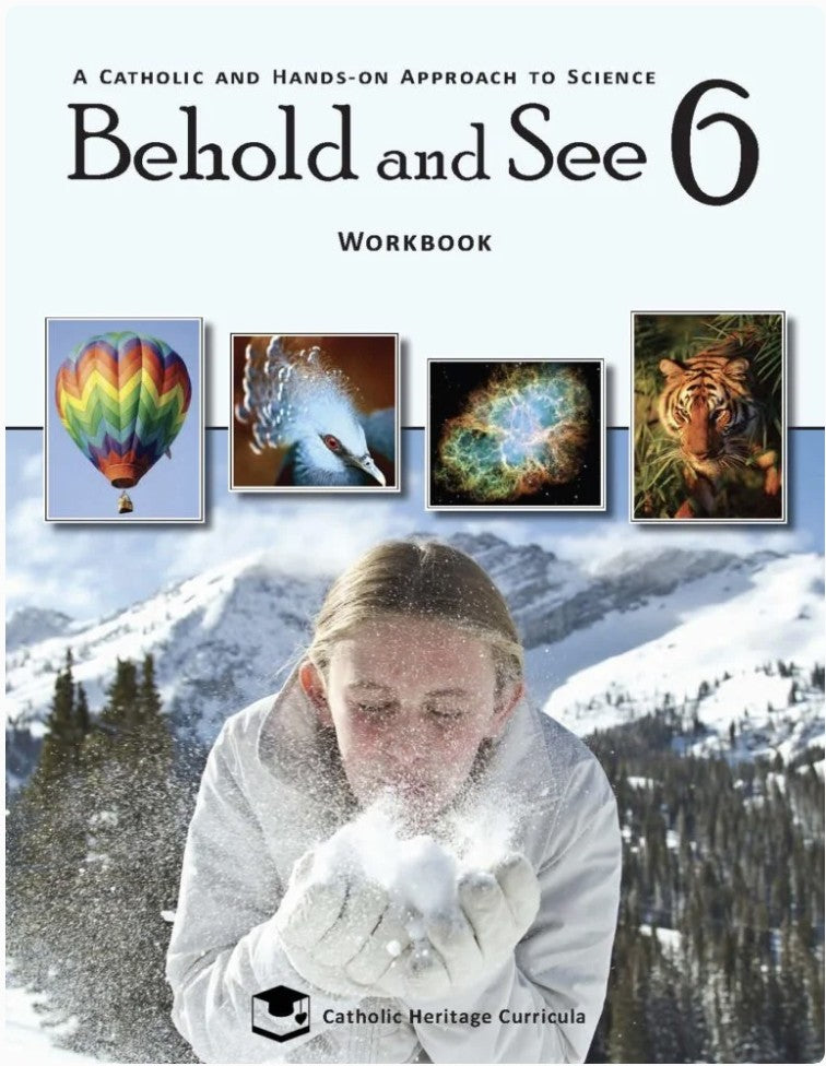 Behold and See 6 Workbook — Catholic Homeschool Curriculum