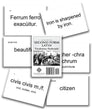 Second Form Latin Vocabulary Flashcards