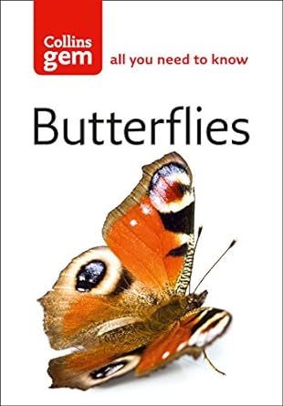 Butterflies — Catholic Homeschool Curriculum