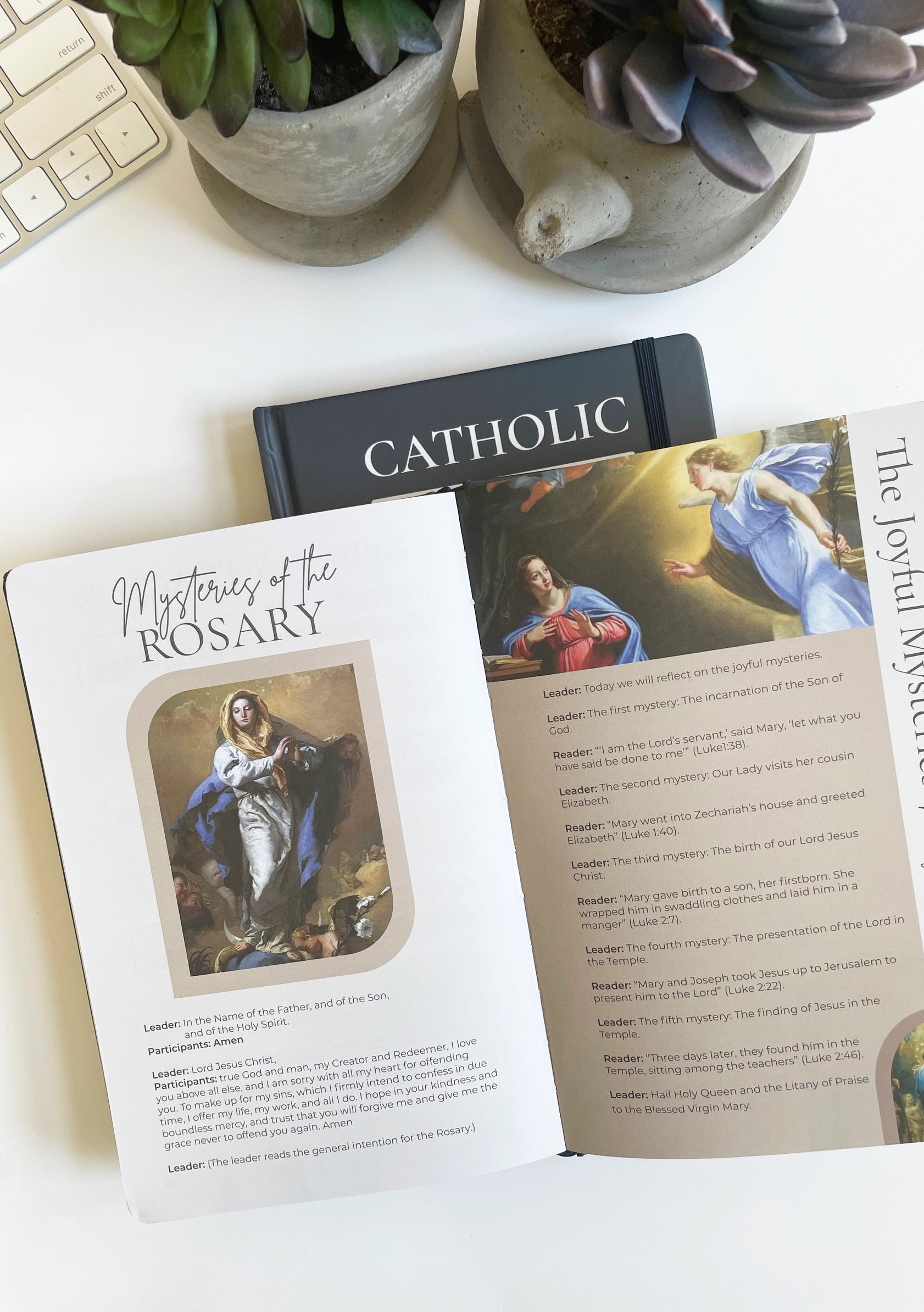 Catholic Prayer journal | Lectio Divina | Examen St. Ignatius - Immaculate Mary Cover — Catholic Gift | Homeschool Bookshop