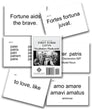 First Form Latin First Form Latin Vocabulary Flashcards