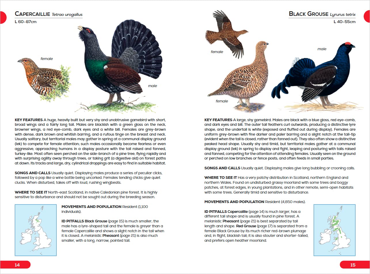 RSPB Pocket Guide to British Birds