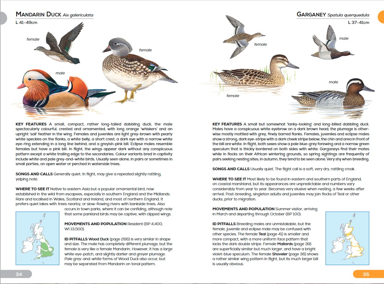 RSPB Pocket Guide to British Birds