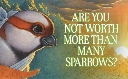 Sparrow Who Fell to the Ground